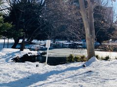 -北海道厅旧本厅舍(旧本庁舎)