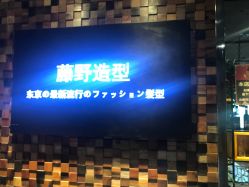 点击看大图 -藤野造型