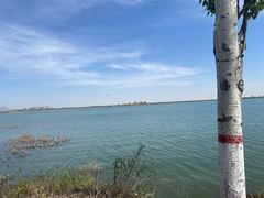 -包头南海湿地景区
