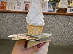 -野人先生Gelato(上海长宁龙之梦店)