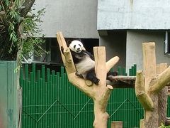 -沈阳森林动物园