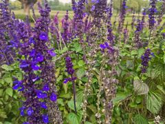 -汉长安城未央宫国家考古遗址公园