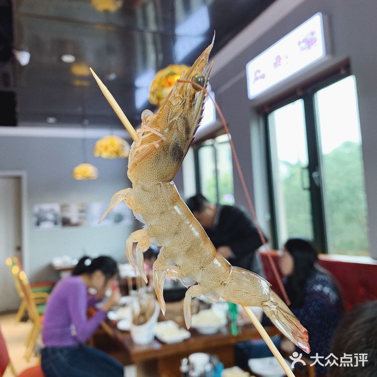 爱吃花胶鸡火锅的都跑来这里了
