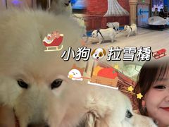 -郑州银基冰雪世界