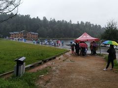 -五营红松林海景区