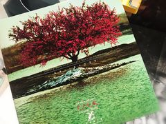 -CoCo壱番屋