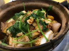 -焯明脆肉鲩世家(金沙洲店)