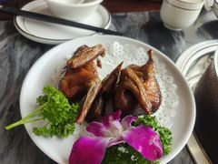 -鸽鸟轩(石岐店)