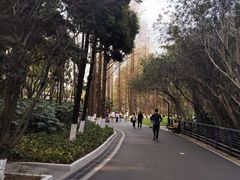 -苏州河梦清园环保主题公园