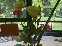 -侨美·唐荔园·40年地道粤菜