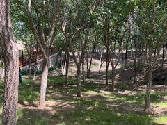 -北宫国家森林公园