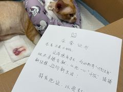 -德元·美联众合24小时动物医院(总院)