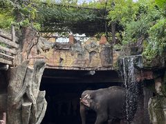 -长鹿旅游休博园