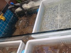 -妈妈菜舟山海鲜(定海古城店)