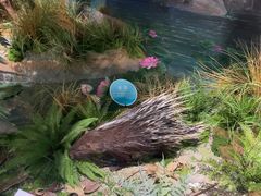 -湖南省地质博物馆