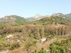 -鲁山国家森林公园