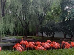 -石家庄市动物园