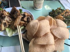 -西双版纳原始森林公园