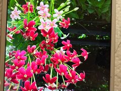 -超群咖啡葡式美食(南贵花园店)