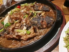 -老板恋上鱼(高新万达店)