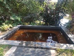 -清远熹乐谷温泉度假酒店