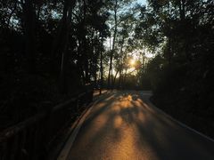 -三门江国家森林公园