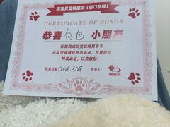 -御宝贝24h宠物医院·转诊中心·CT核磁血透中心(厦门总院)