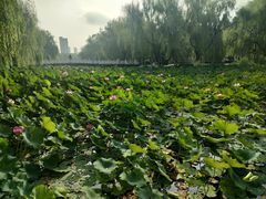 -满都海公园
