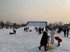 -绿野森林乐园冰雪季
