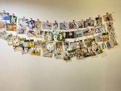 零售区-Husky Go! 哈士奇体验馆·宠物咖啡厅狗咖