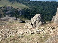 -大姆山草场
