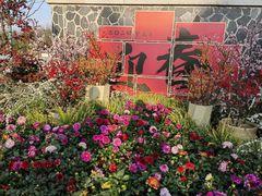 -苏州上方山国家森林公园