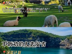 -阿露佳·舌尖上的安吉菜