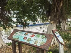 -海珠湖公园