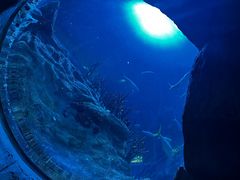 -香港海洋公园