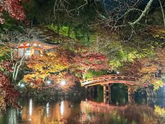 -醍醐寺