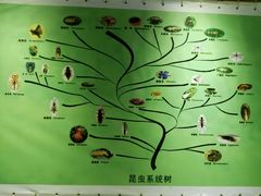 -上海昆虫博物馆