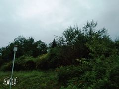 -林芝工布庄园希尔顿酒店-猎味中餐厅