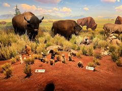 -陕西自然博物馆