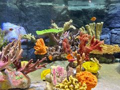 -上海海洋水族馆