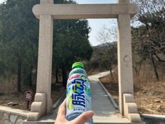 -北京西山国家森林公园