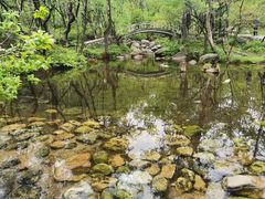 -玉渡山自然风景区