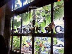 良友书坊-良友书坊(安徽路店)