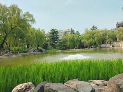 -西安市长乐公园