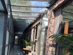 -清雅臻品·竹林院落·新派青岛菜(崂山店)
