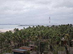 -东郊椰林