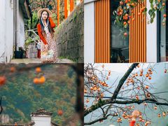 -丹山赤水风景名胜区