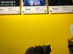 -解个谜沉浸剧情密室(天河店)