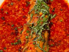 -南堂馆·新川菜(春熙路店)