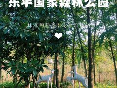 -东平国家森林公园